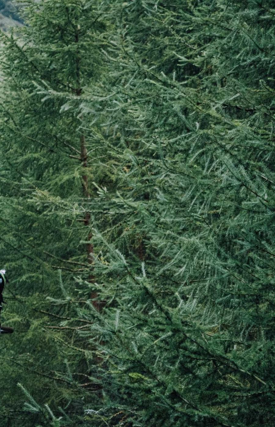 Forest goddess — leg back