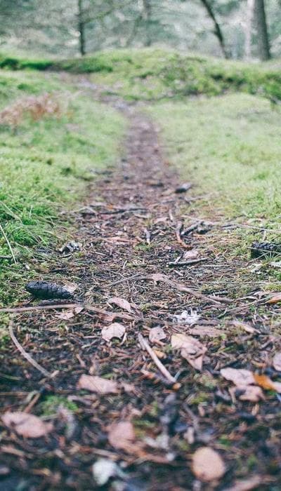 Aftercare: What Actually Matters